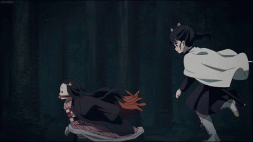 Demon Slayer Fighting Kanao Tsuyuri Chasing Nezuko Kamado GIF
