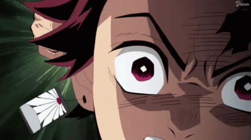 Demon Slayer Fighting Tanjiro Punching Inosuke GIF