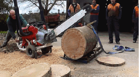 Demonstration V8 Chain Saw Muscle Car GIF