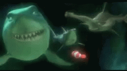 Denial Scary Shark Finding Nemo GIF