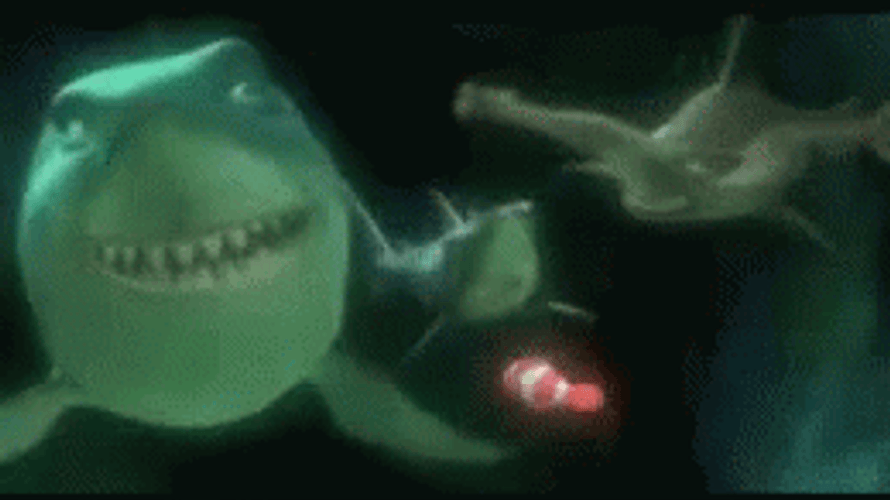 Denial Scary Shark Finding Nemo GIF