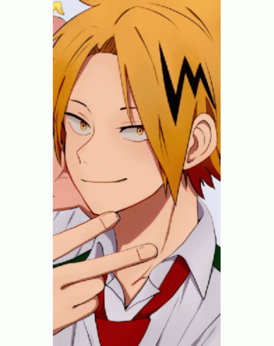 Hero Academia Handsome Denki Photos GIF