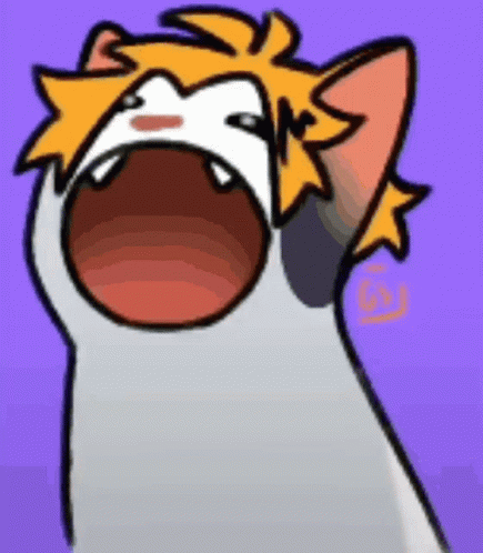 Adorable Hero Academia Denki Cat GIF