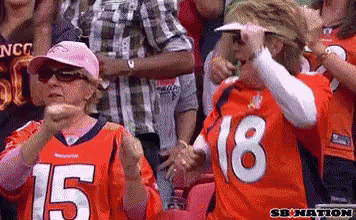Denver Broncos Fans Cheering GIF
