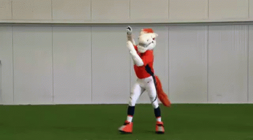 Denver Broncos Horse Mascot Dance GIF