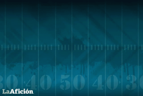 Denver Broncos Pigskin Touchdown GIF