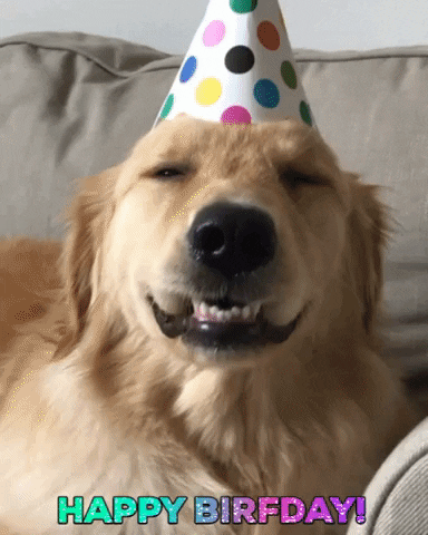 Derp Face Happy Birthday Dog GIF