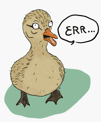 Derp Wink Eye Funny Duck GIF