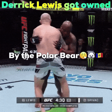 Derrick Lewis Got Owned By The Polar Bear During A Ufc Fight GIF