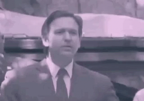 Desantis Unconvinced Smile GIF