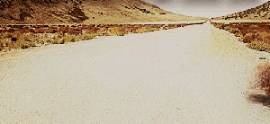 Rolling On The Desert GIF