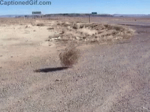 Me Rolling In The Desert Like Street GIF