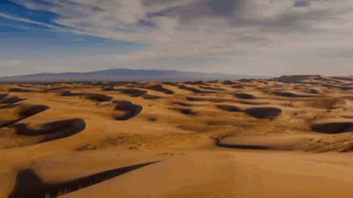 A Show In The Desert GIF