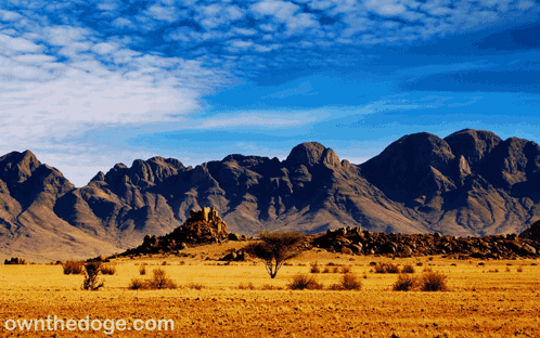 Howdy Dog On Desert GIF