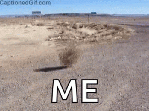 Me Walking In The Desert GIF