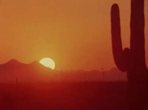 Hot Like A Desert GIF