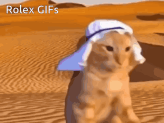 Desert Cat With Turban and Hat