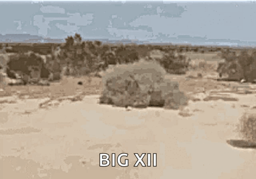 Desert Landscape With Big XII