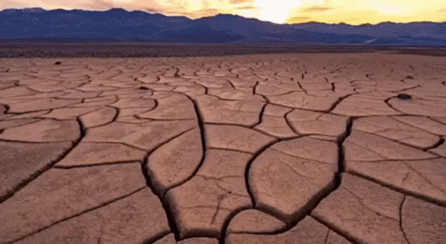 Desert Landscape with Mountains