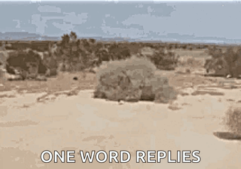 Desert Landscape with One Word Replies