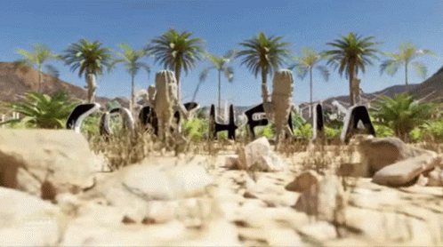 Desert Landscape With Palm Trees And Coahuila In Sand GIF