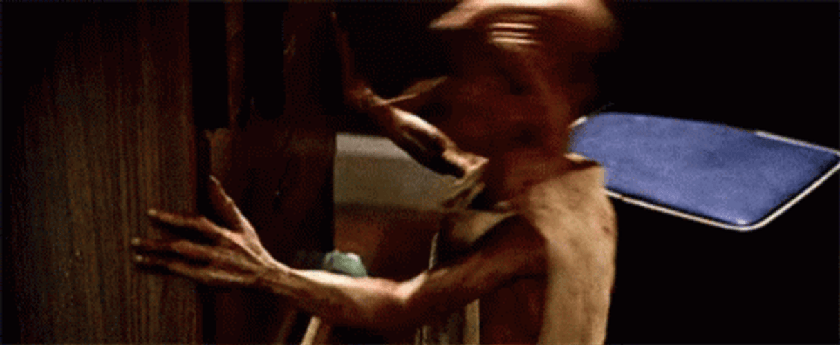 Desperate Dobby Banging Head On Wall GIF