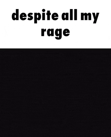 Despite My Rage All My Fellas Are There GIF