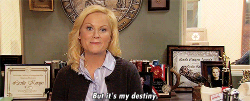 Destiny Amy Poehler GIF