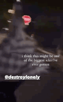 Destroy Lonely Destroy Lonely Run GIF