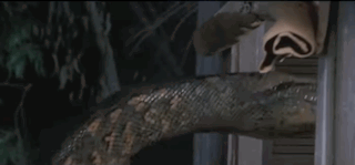 Destroyer Anaconda Snake GIF