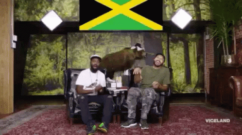 Desus And Mero Jamaica GIF