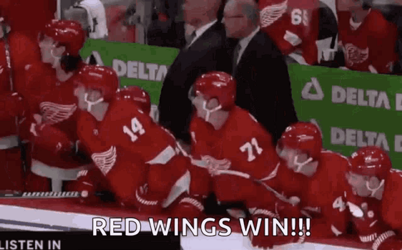 Detroit Red Wings Win GIF