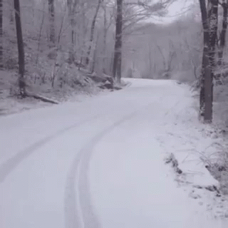 Devil Standing On Snow Covered Road GIF