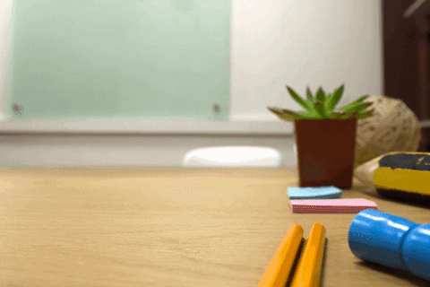 Diary Of A Wimpy Kid Books GIF