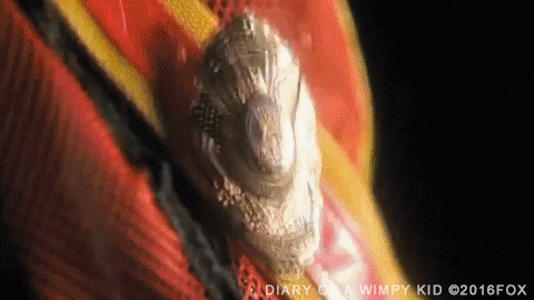 Diary Of A Wimpy Kid Human Characters GIF