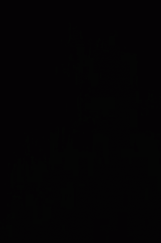 Diaz Name In Green On Black GIF