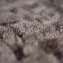 Dice Numbers Throw Falling Carpet GIF