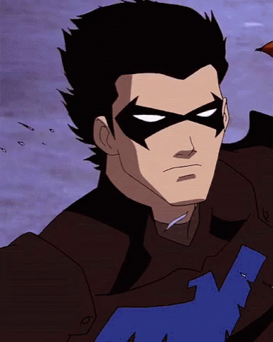 Dick Grayson Nightwing Young Justice GIF