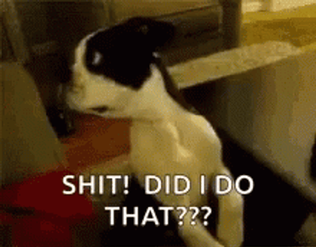 Did I Do That GIF