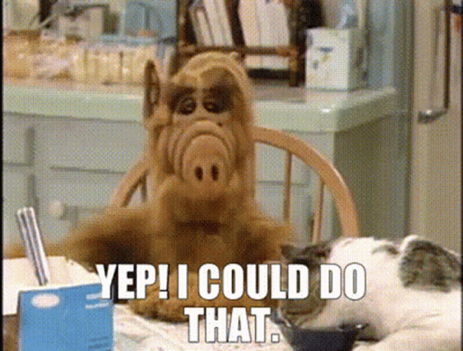 Did I Do That Alf I Could Do That GIF