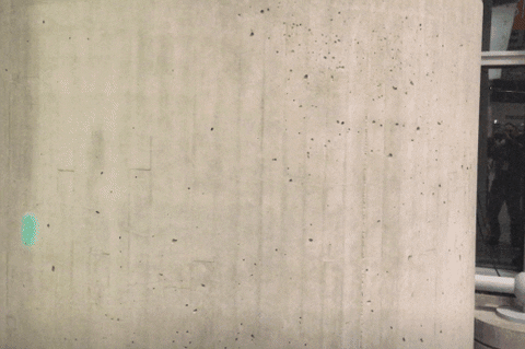 Did I Do That Lauren Lapkus GIF