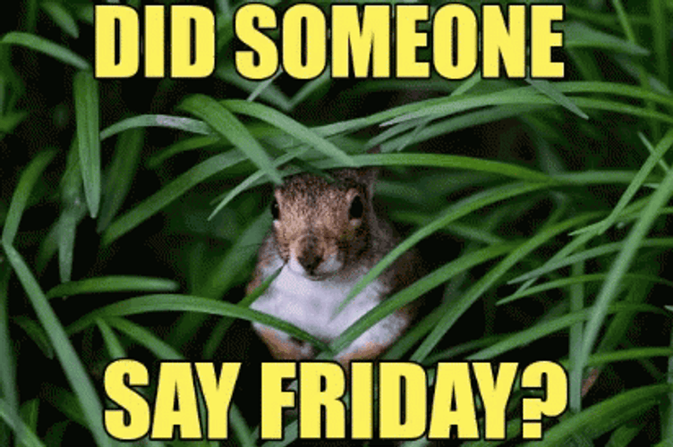 Did Someone Say Friday Meme  GIF