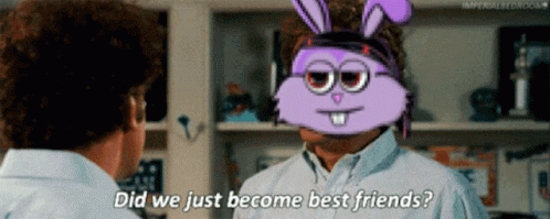 Did We Just Become Best Friends Bunny Friends GIF