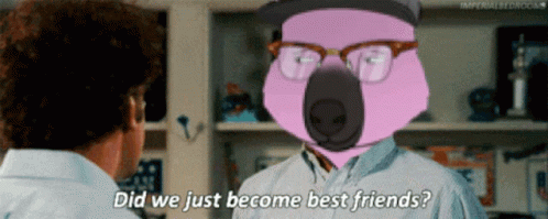 Did We Just Become Best Friends Cat Dog GIF