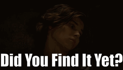 Did You Find It Yet GIF