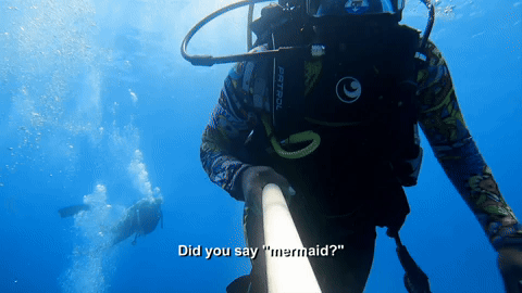 Did You Say Mermaid?. Shark week.