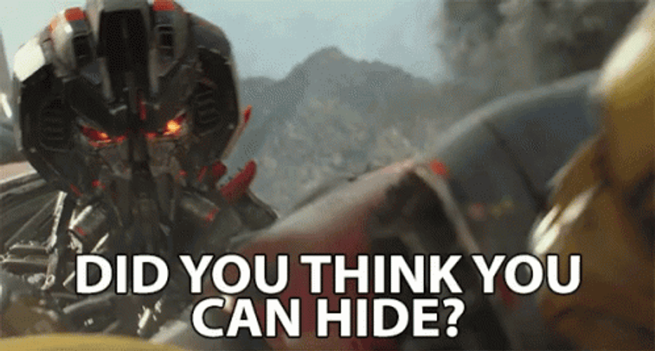 Did You Think You Can Hide GIF