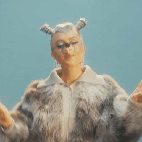 Diddy Party Dog Costume GIF