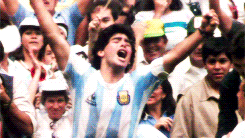 Diego Maradona Overjoyed Celebrating GIF
