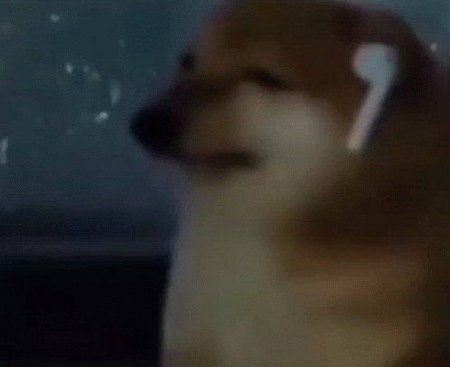 Different Clips Of Sad Meme GIF